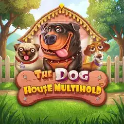 The Dog House Multihold game at DeeSpin Casino for Australia players